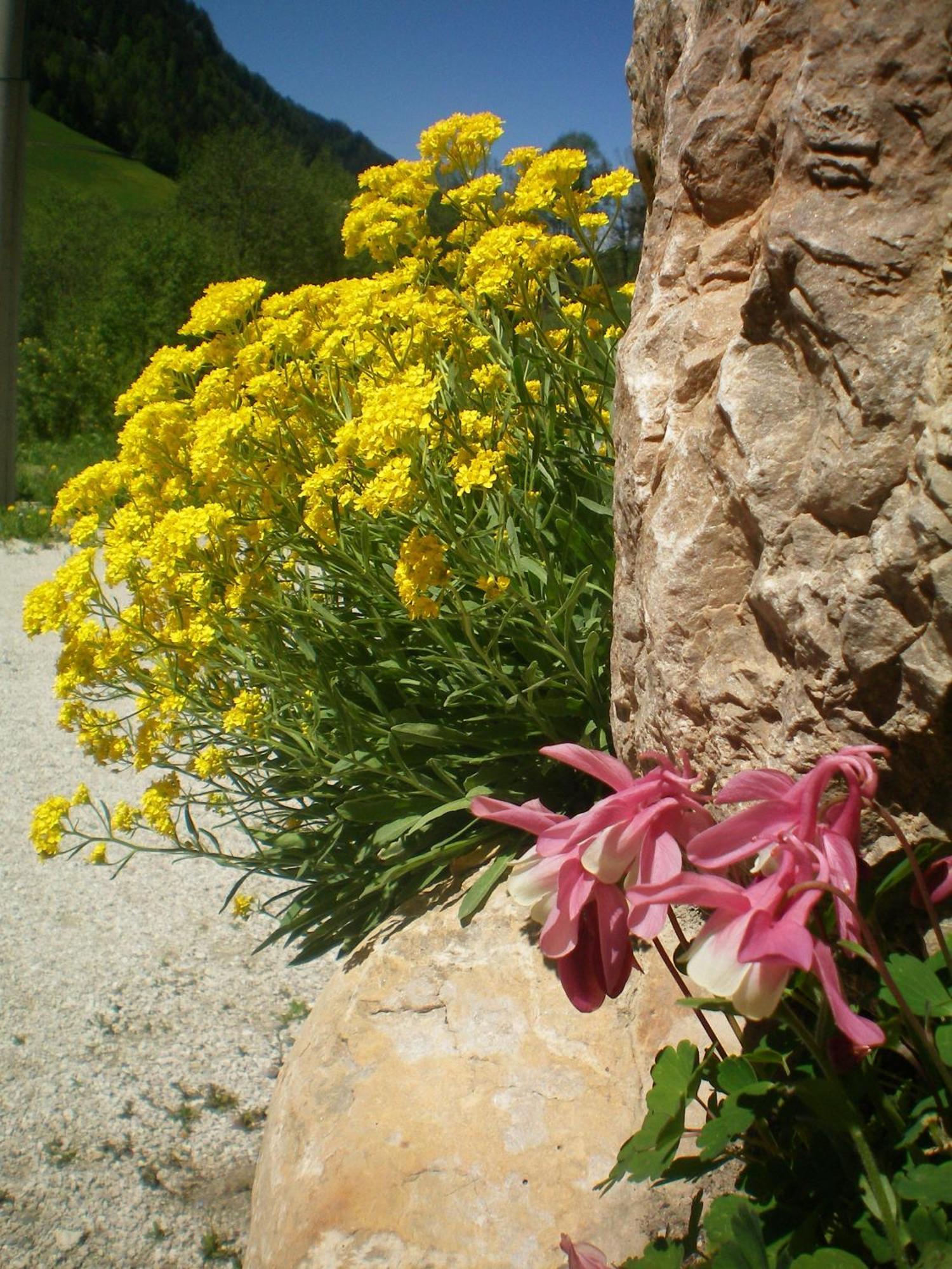 Villa Otto Santa Cristina Val Gardena Екстериор снимка